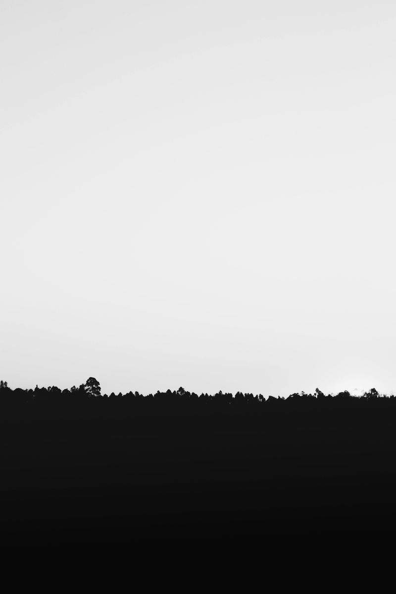 Lezioni Innovative - Image 8